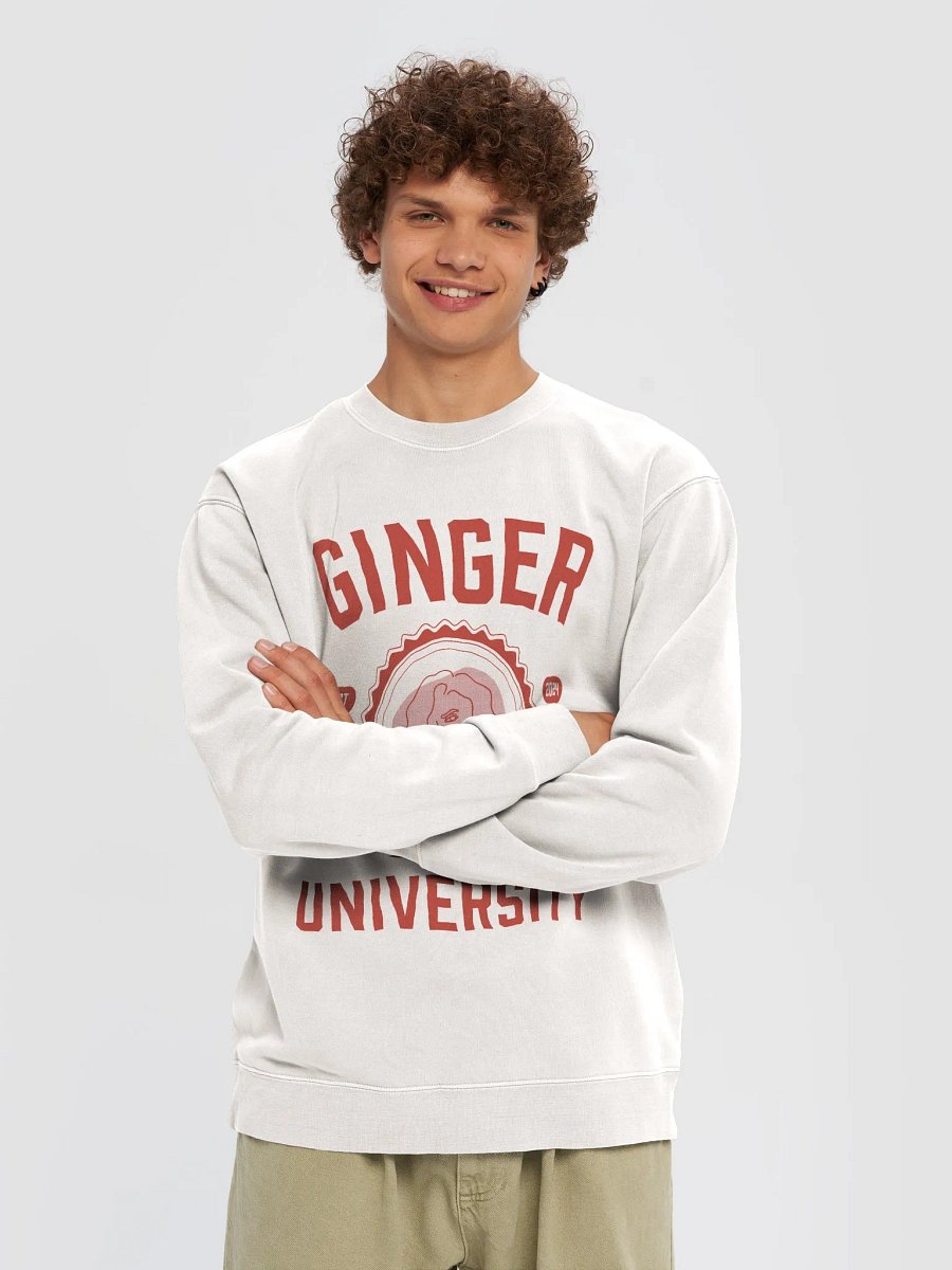 Ginger University Unisex Midweight Pigment-Dyed Sweatshirt product image (4)