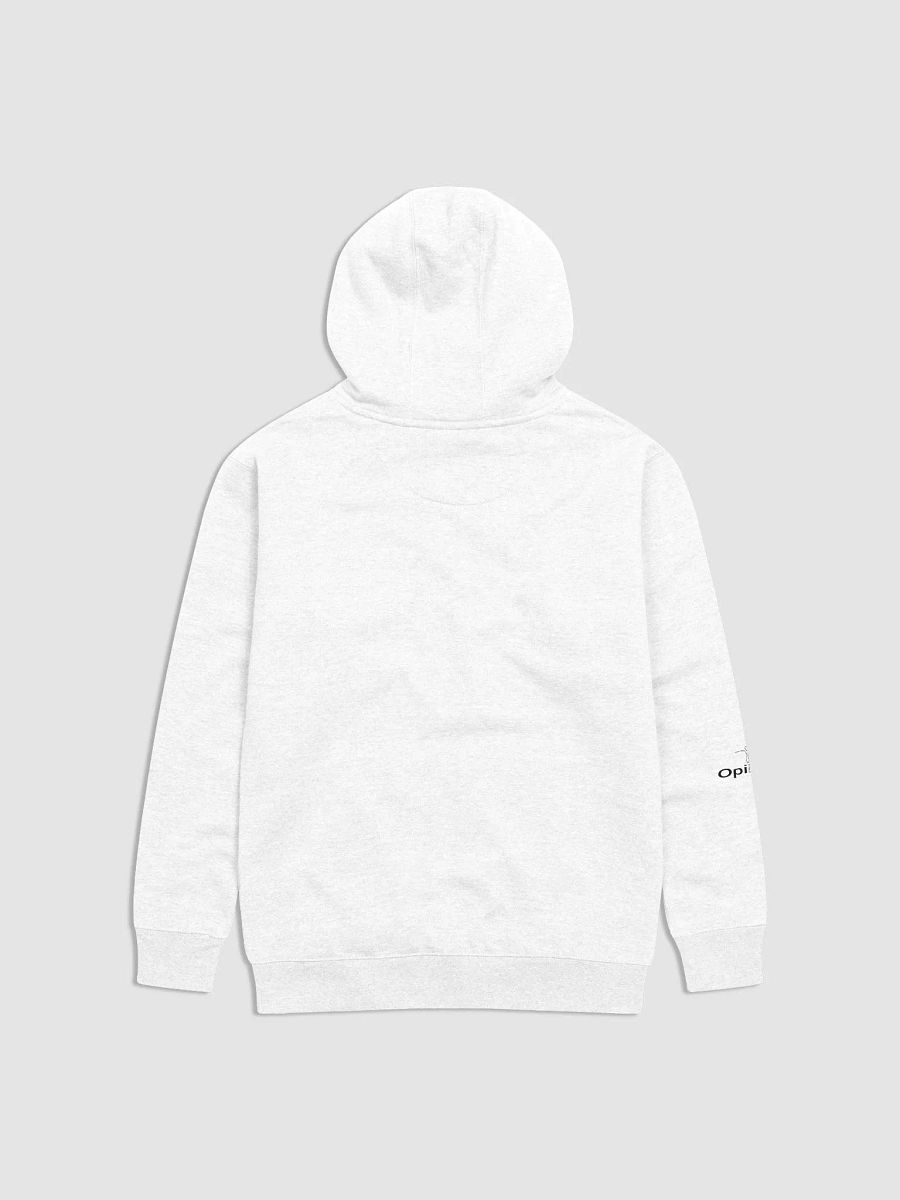 Governed By Criminals - U.S. Approved - Cotton Heritage Unisex Premium Hoodie product image (3)