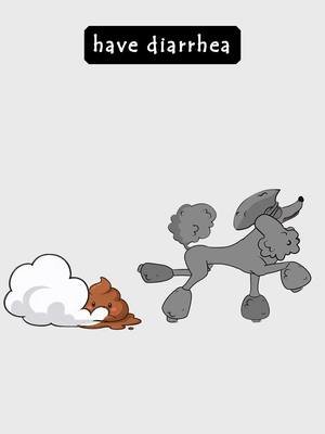 The reason I’m still broke #animated #shorts #fyp #dog #animation 