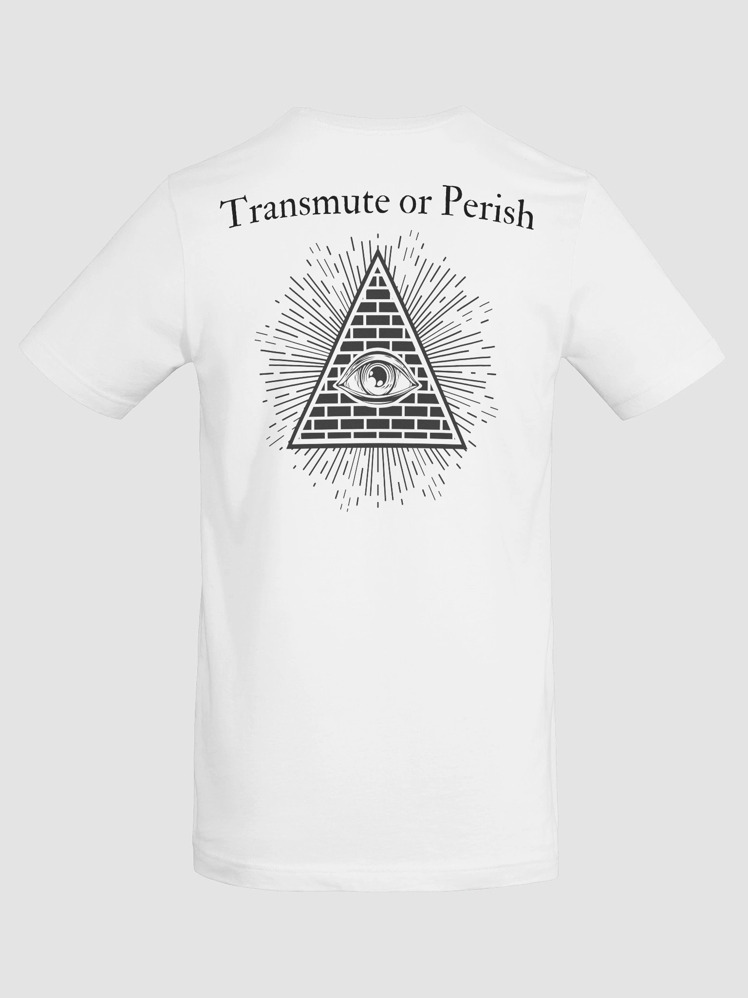 Manifest or Die T-Shirt (Black Print) product image (8)