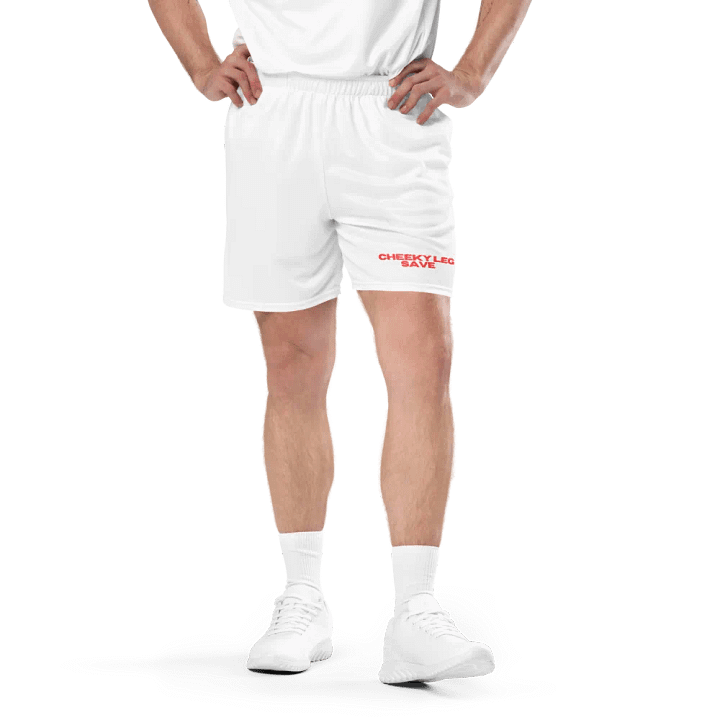 CHEEKY LEG SAVE MESH SHORTS product image (1)