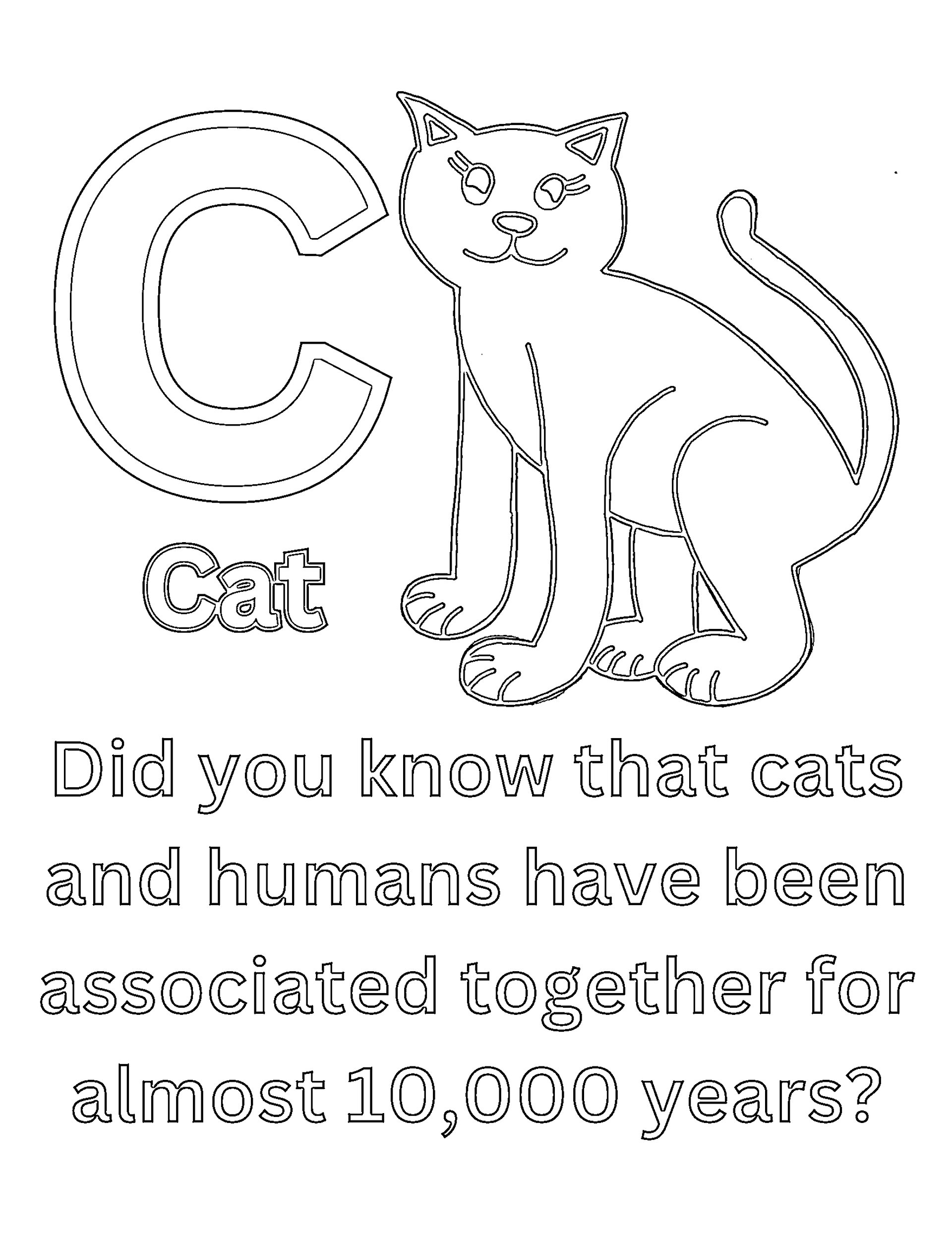 Cool Animal Facts for Kids ABCs Coloring Book product image (4)