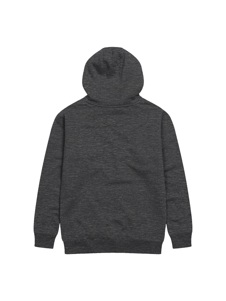 Talk To Me Lightly Embroidered Hoodie product image (2)