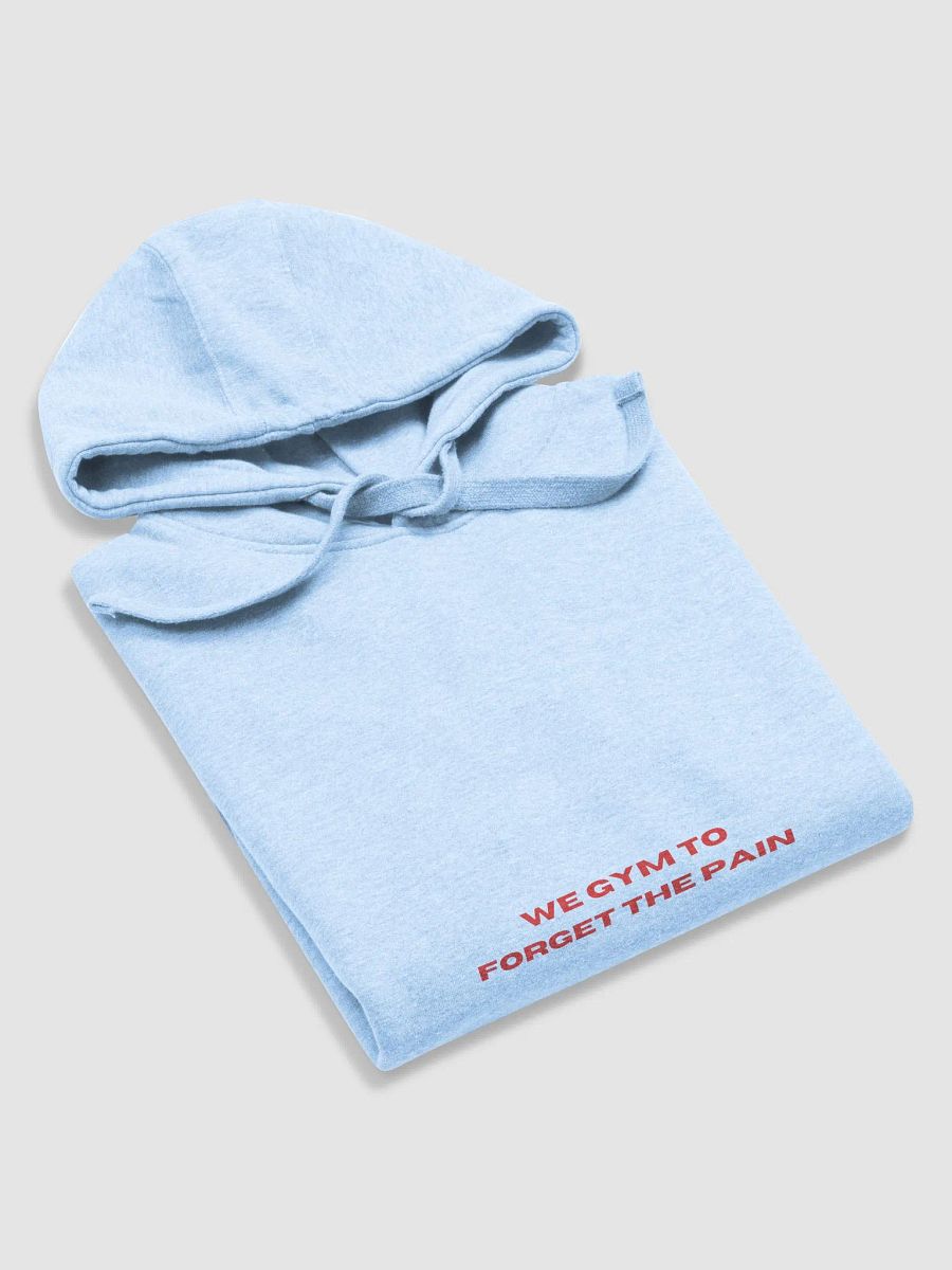 Determination & Resilience Hoodie product image (6)