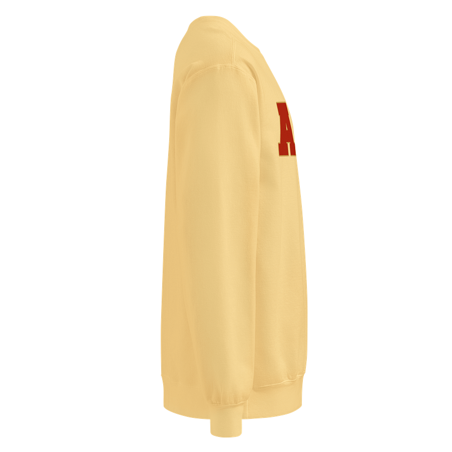 ADG Comfort Sweatshirt product image (13)