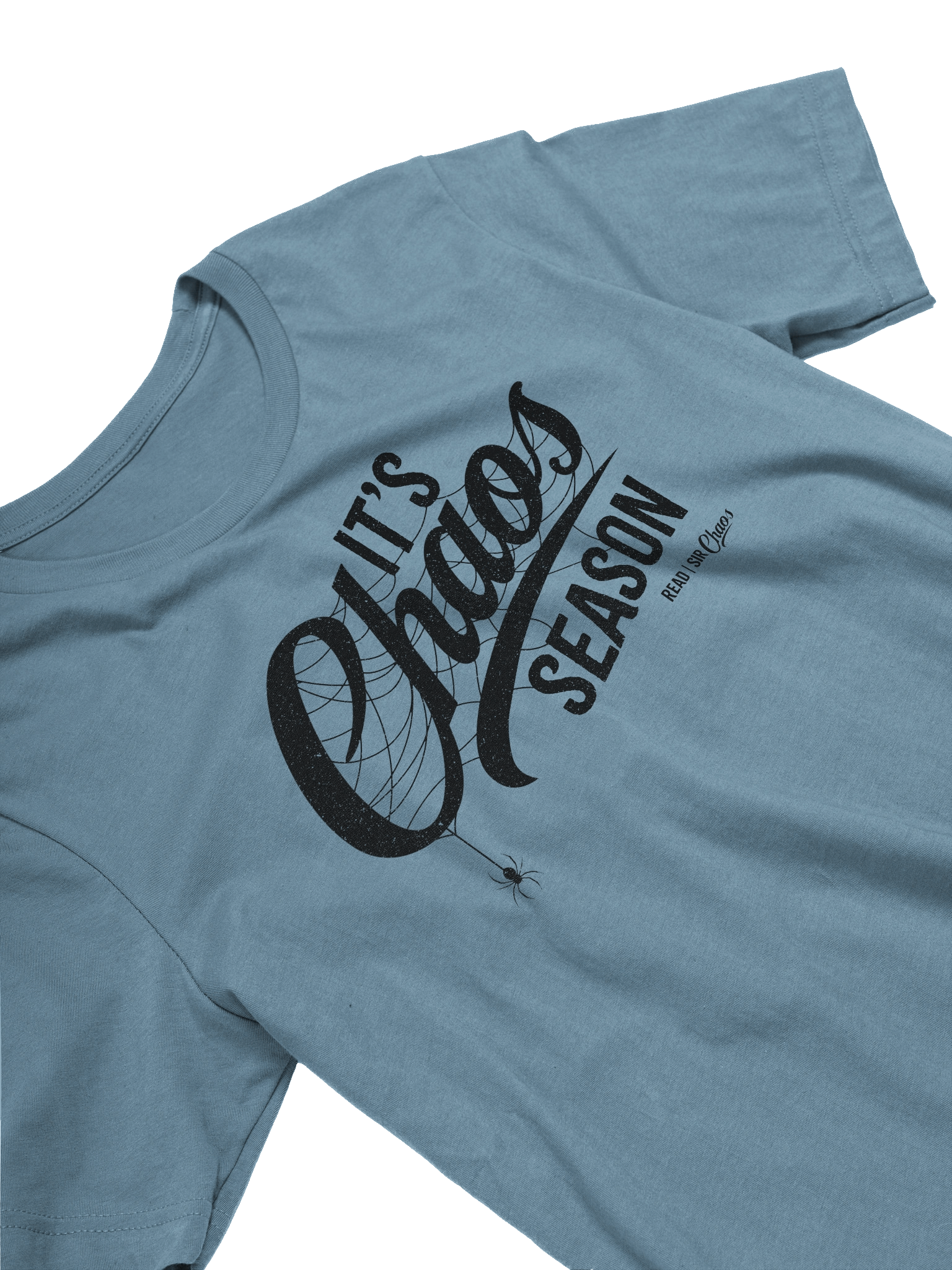 It's Chaos Season - Light Tee product image (31)