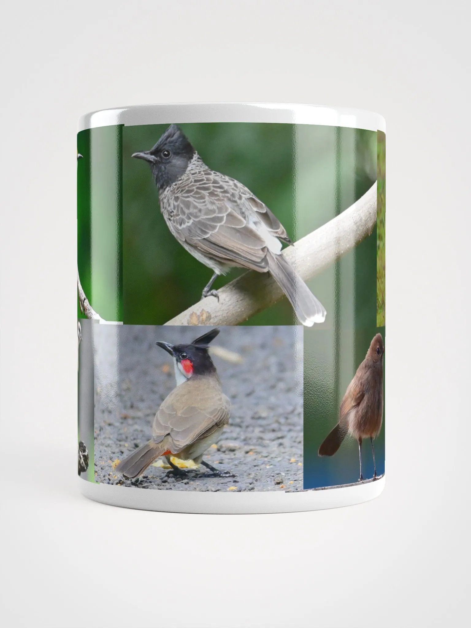 IUCAA Birds White Glossy Mug product image (15)
