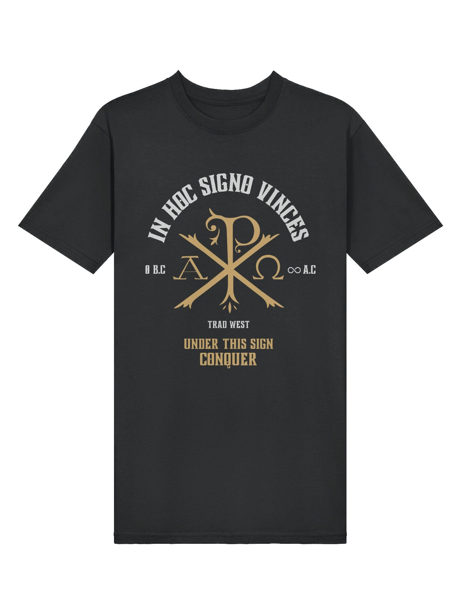 Under this sign conquer Heavy Tee product image (3)