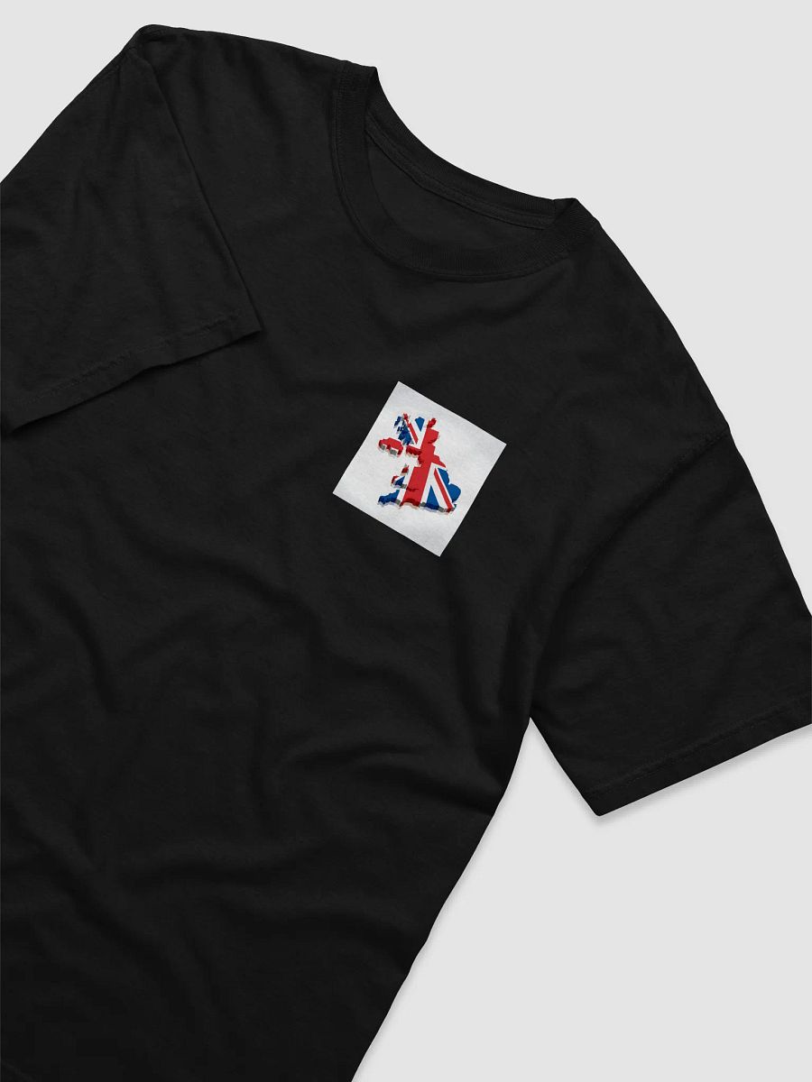 Man T-Shirt UK 3D Map Garment-Dyed Heavyweight T-Shirt product image (3)