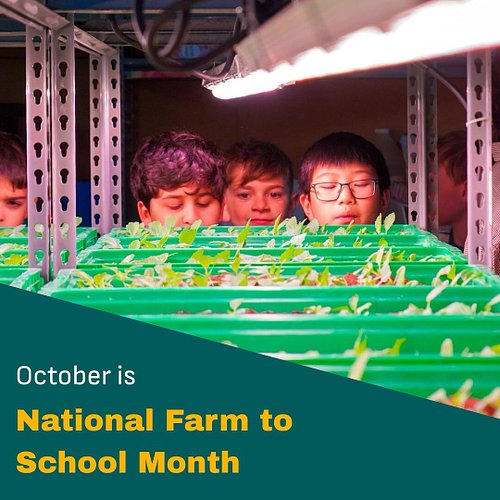 Farm to School Month = hands-on learning about food, soil, and farming! 🪱 Thousands of students visit Area 2 Farms each year—...