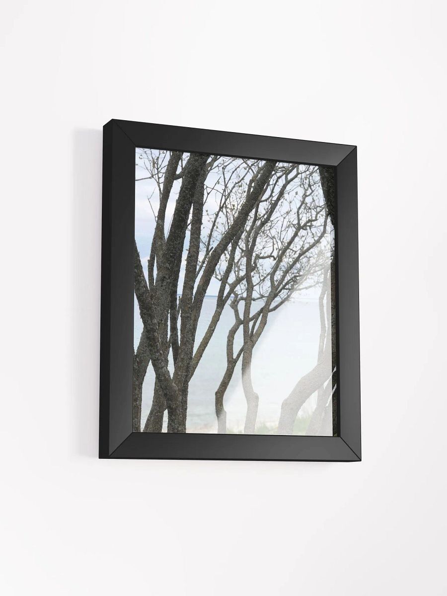 Winding Branches High Quality Matte Poster product image (2)