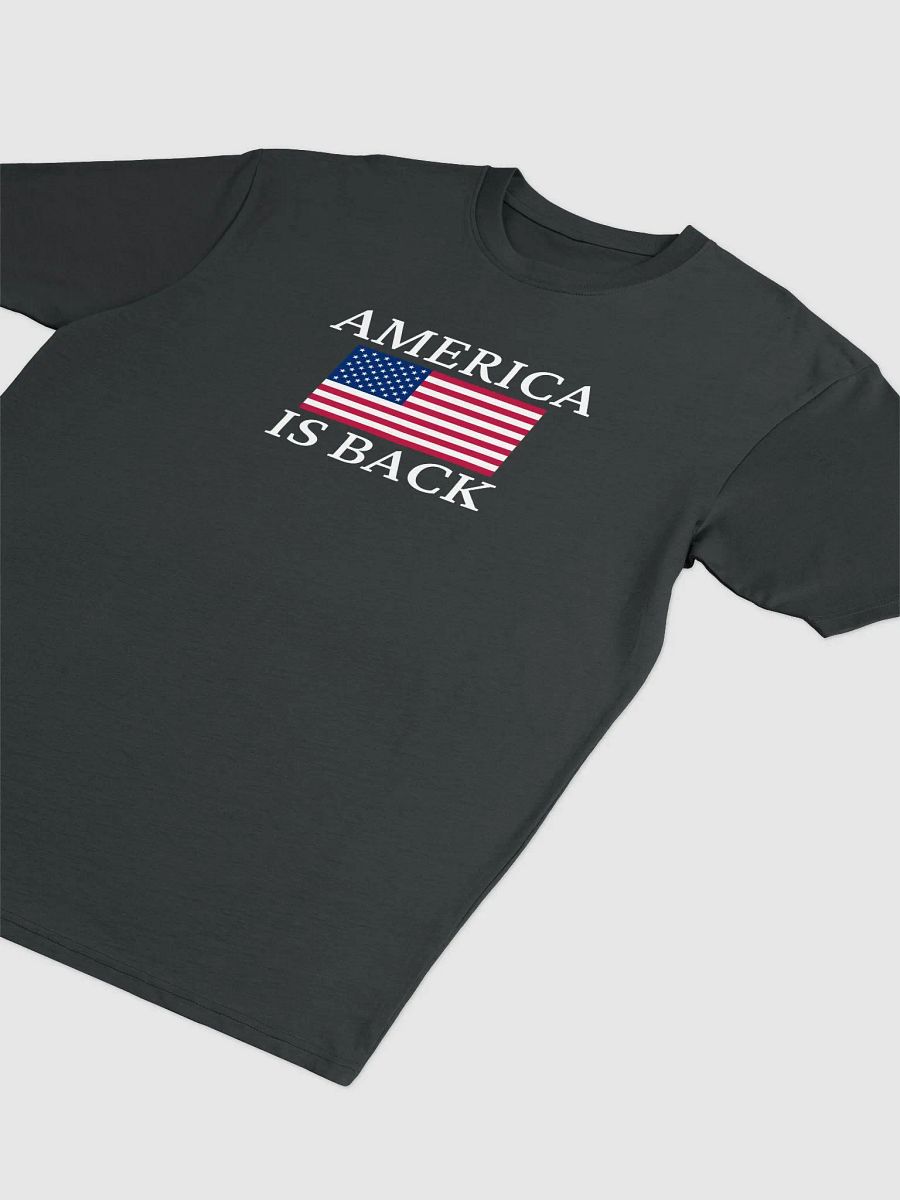 AMERICA IS BACK Tee product image (3)