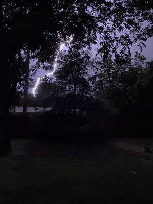 What a storm we’re having. LOTS of lightning and loud thunder. 