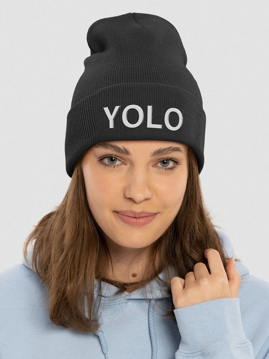 YOLO Beanie product image (1)