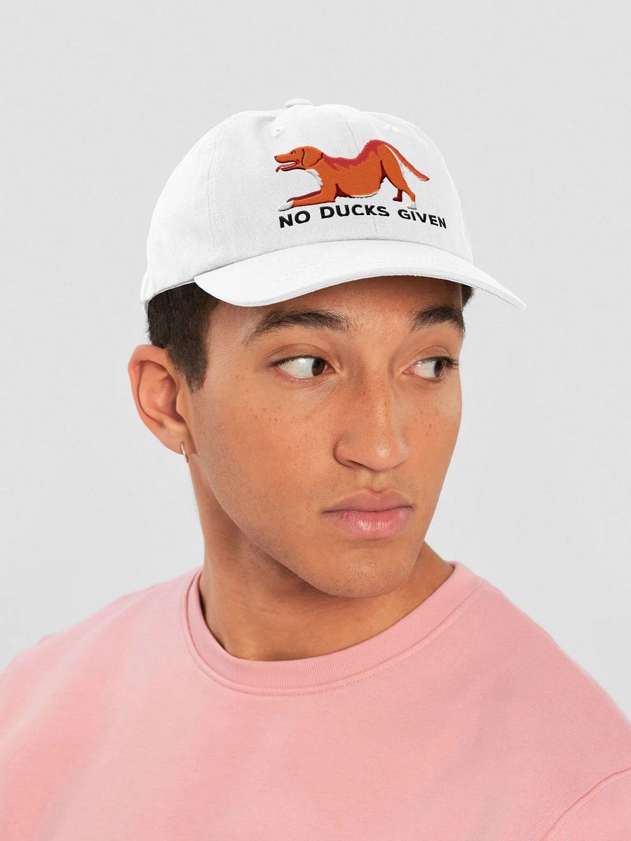 No Ducks Given Classic Dad Hat(Embroidered) of a Nova Scotia Duck Tolling Retriever product image (43)