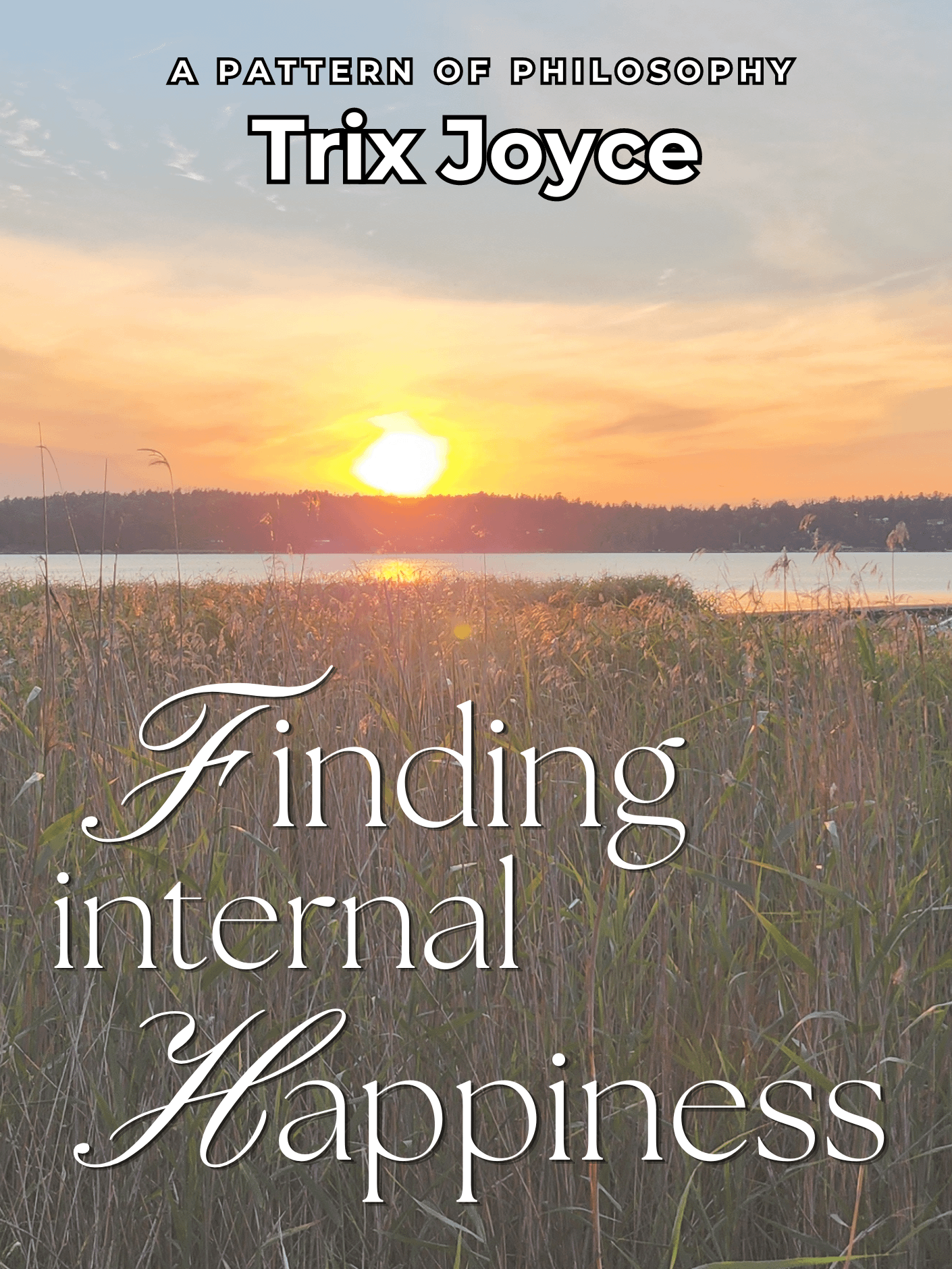 Finding internal happiness (ebook) product image (1)