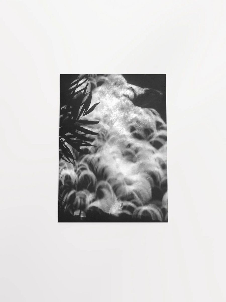 Crescents of Light from the Eclipse - Poster 2 product image (47)