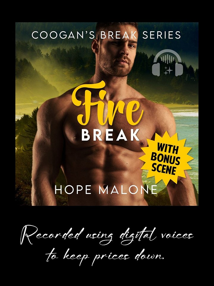 Fire Break : AudioBook product image (1)