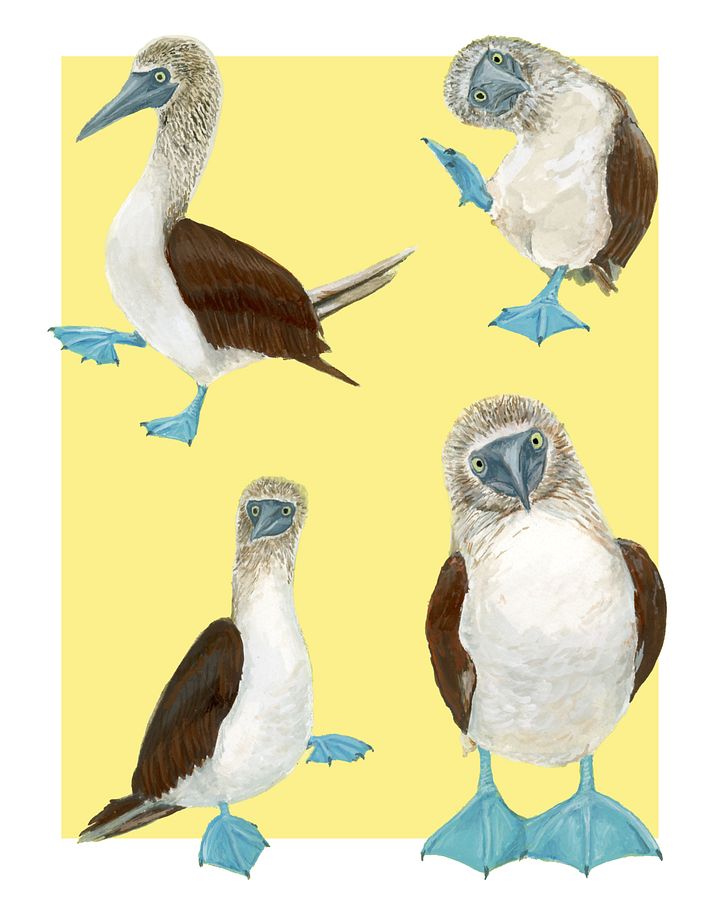 Boobies - giclée print product image (1)