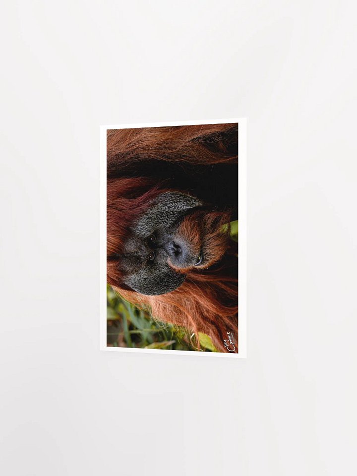 Graceful - Print product image (2)