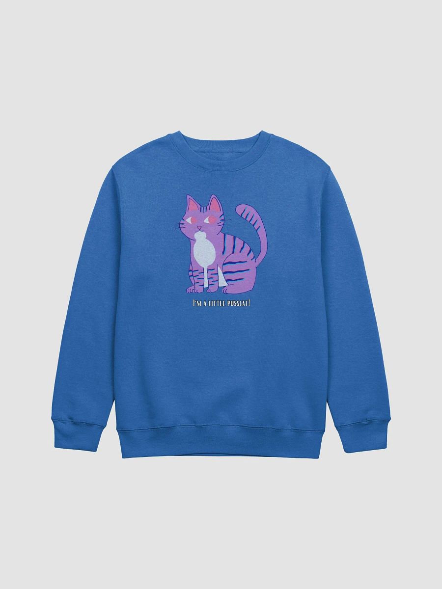 Lil Pusscat Sweater product image (1)
