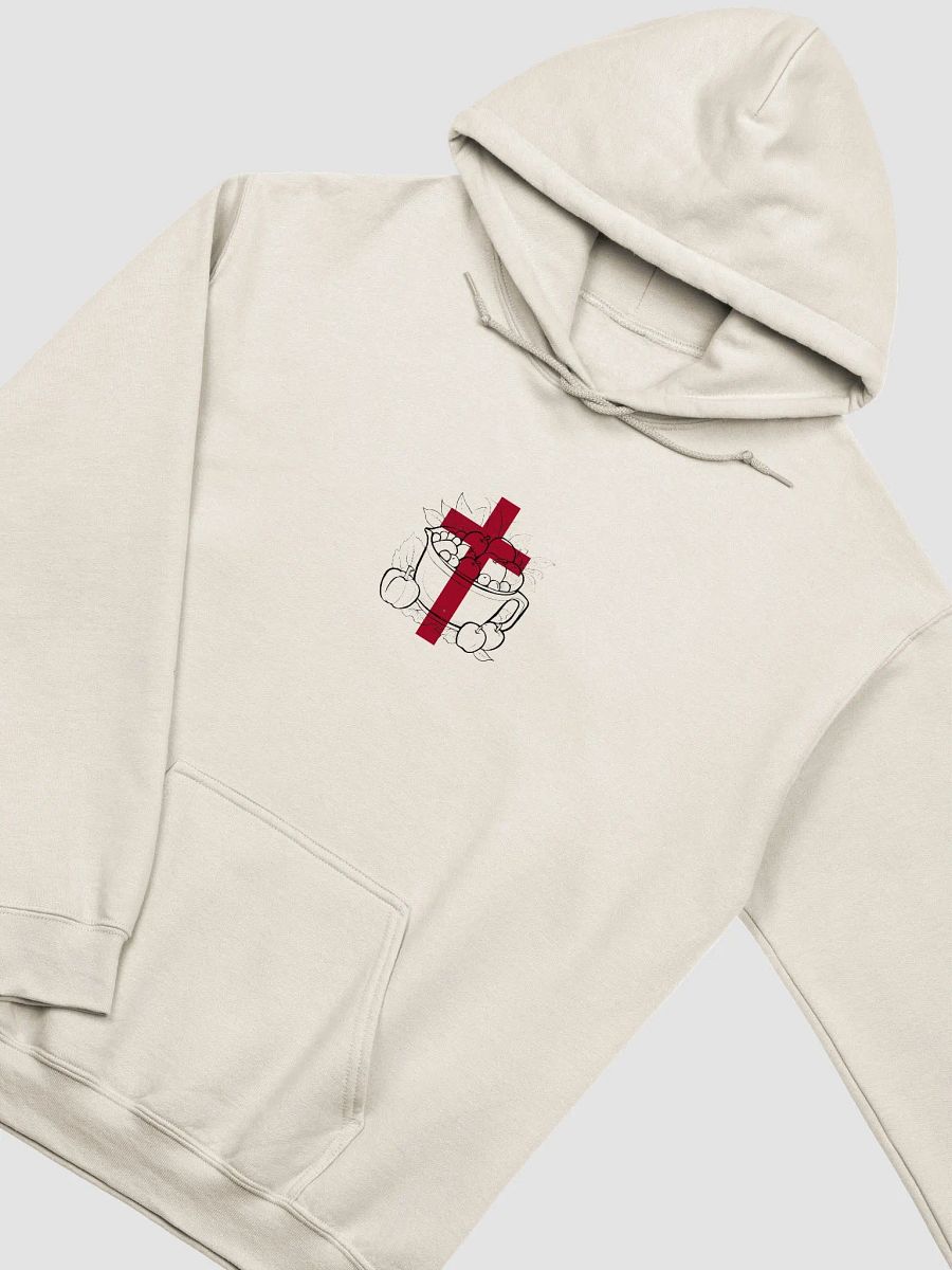 Blessed Beyond Measure Hoodie product image (2)