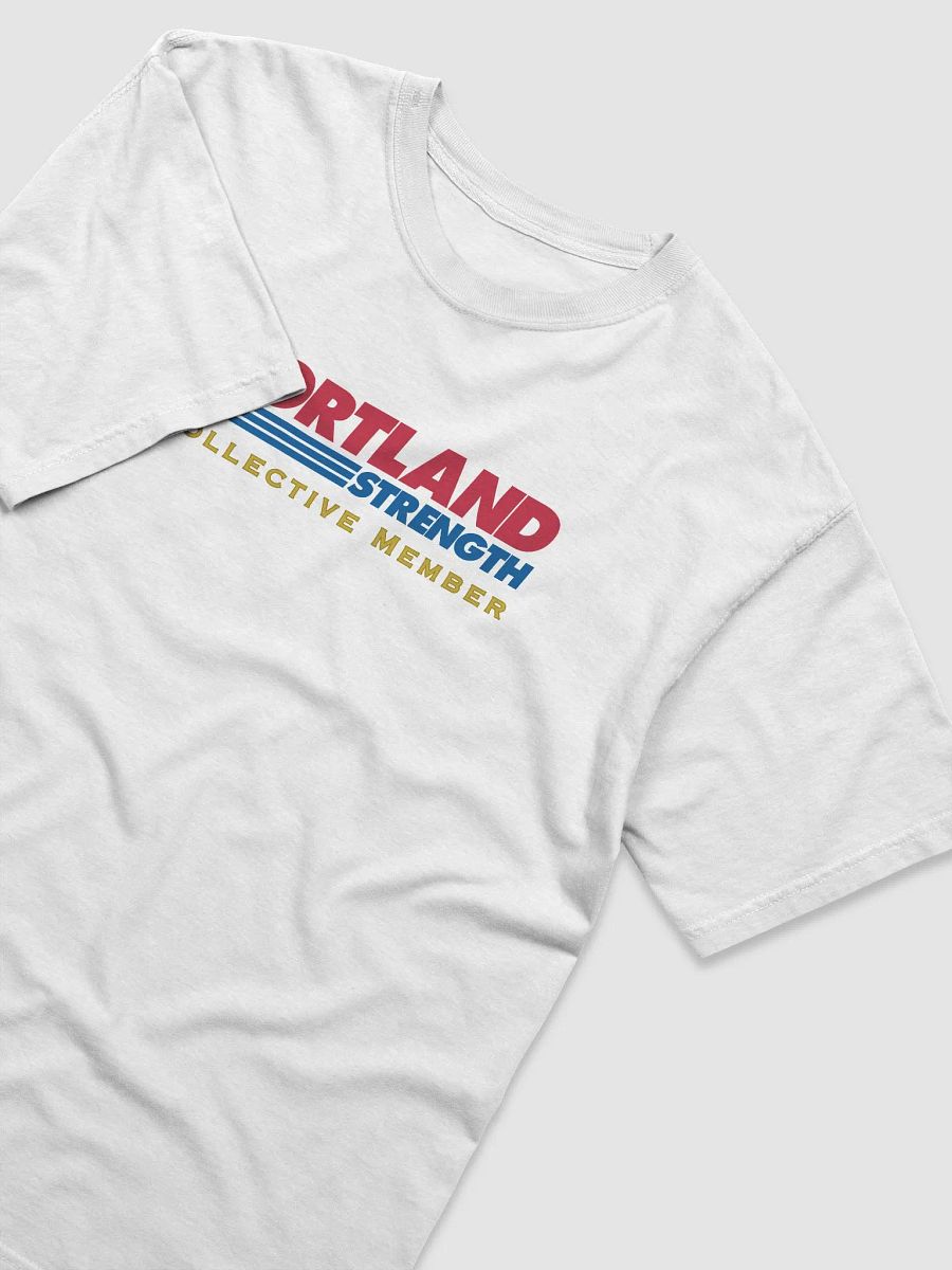 Executive Club Premium Heavyweight T-shirt product image (3)