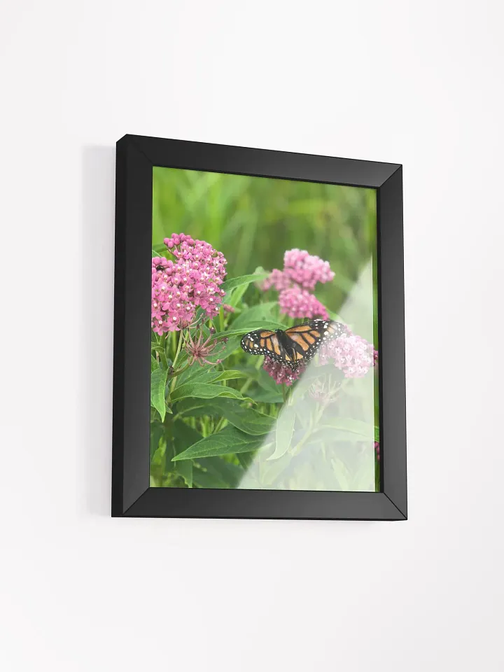 Monarch Butterfly version 2 High Quality Matte Poster product image (2)