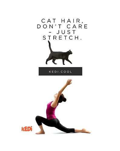 Cat-Inspired Clothing for Yogis & Free Spirits

Step into your power with clothing made for wild souls and calm minds. ￰ﾟ Thi...