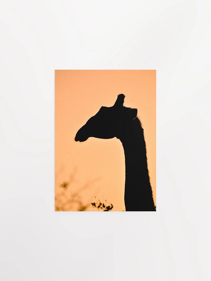Giraffe Sunset Silhouette Poster product image (1)