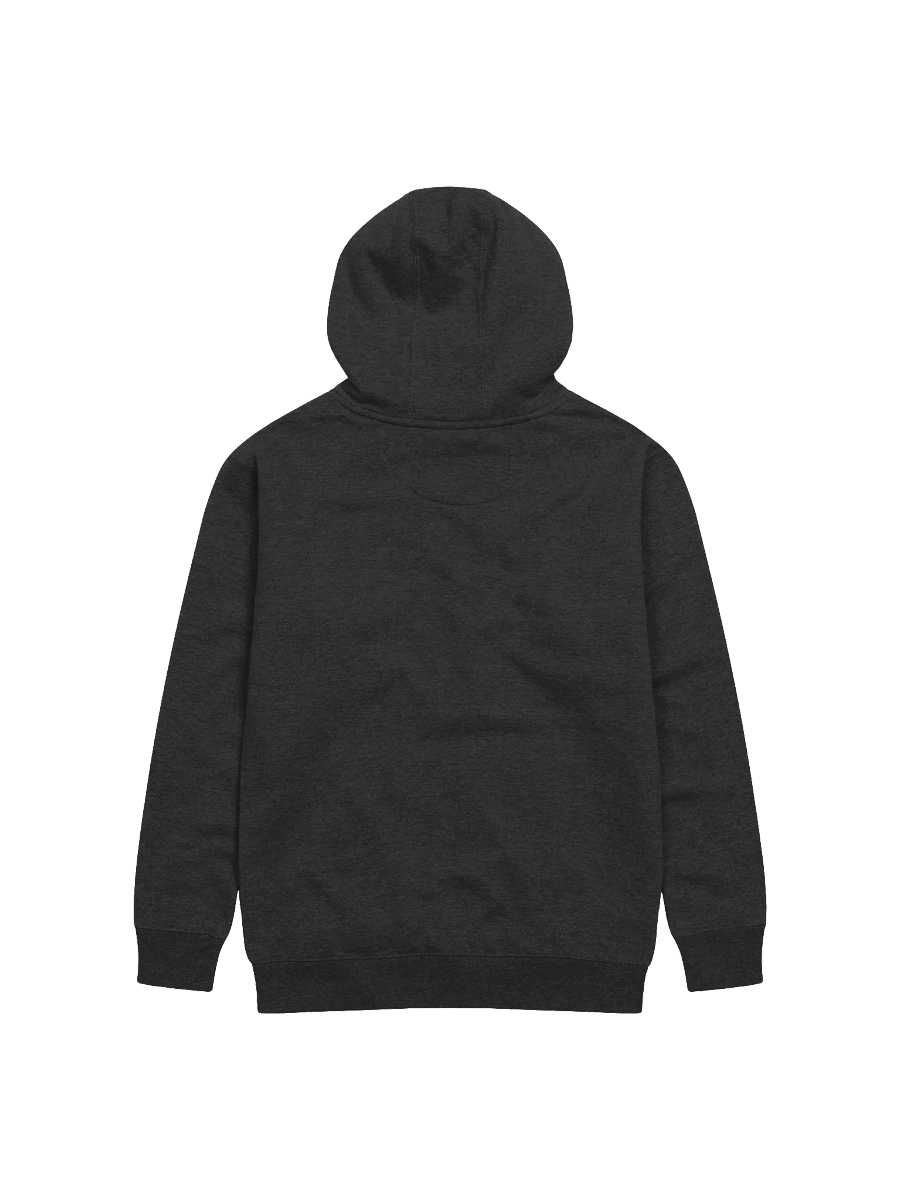 VA FOR HUSTLERS HOODIE (VCU) product image (2)