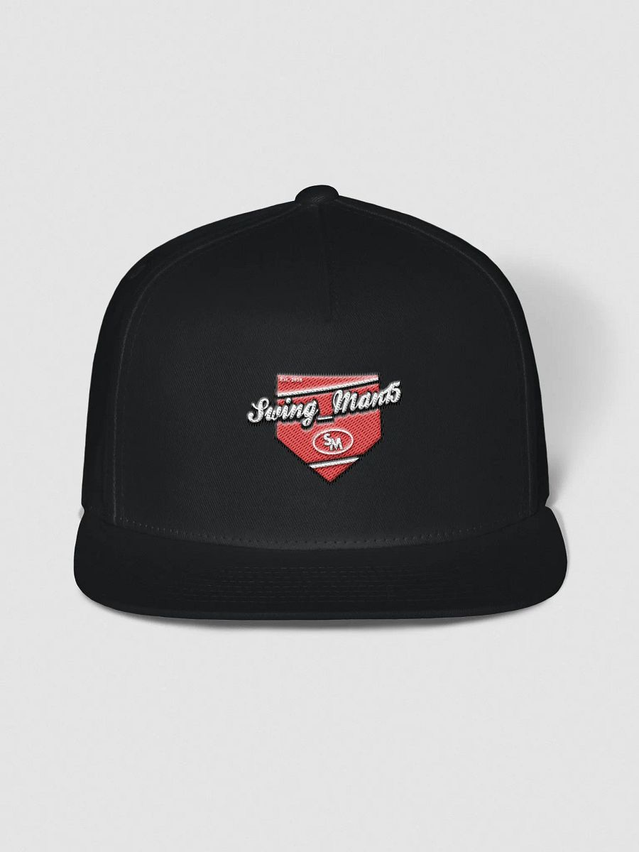 SwingBack Cap product image (1)