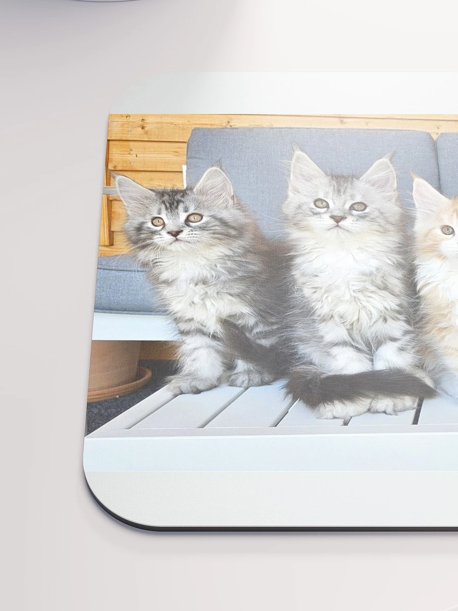 Maine Coon Kittens Mouse Pad product image (6)