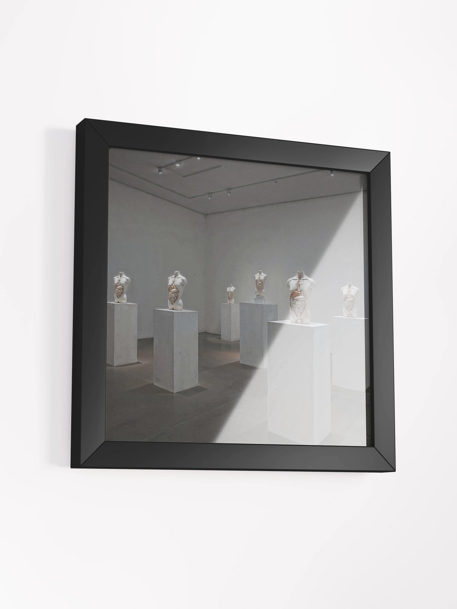 Anatomy of Silence Framed Print product image (12)