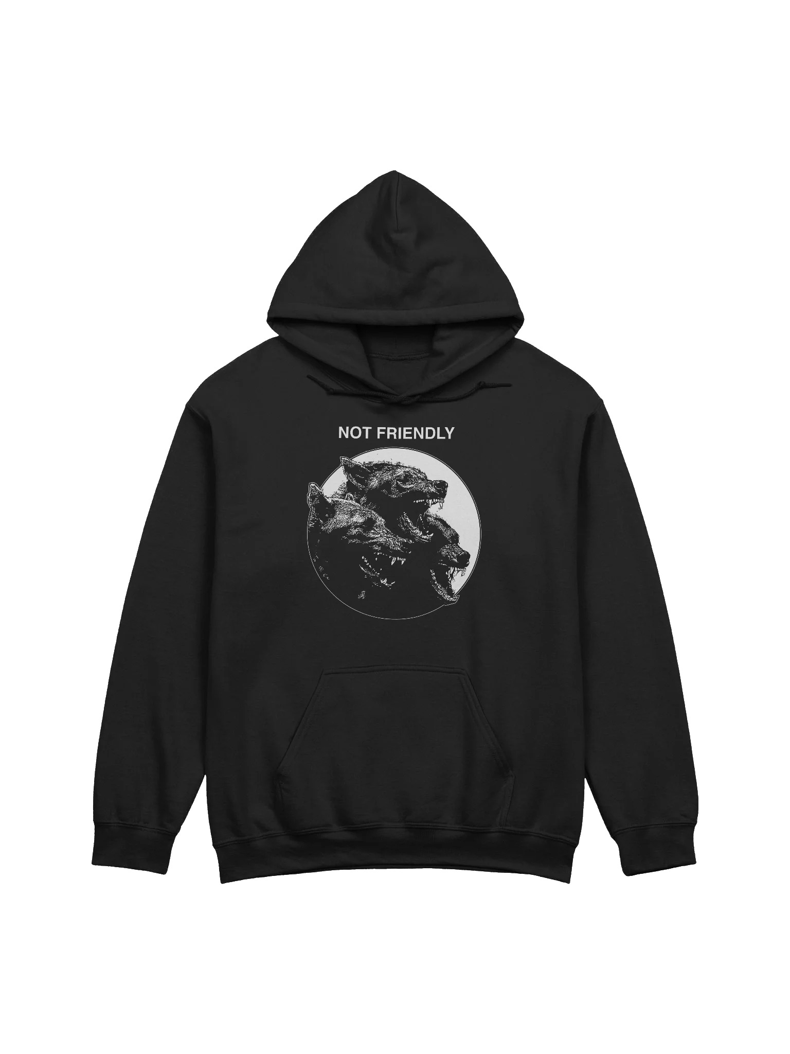NOT FRIENDLY - Hoodie product image (1)