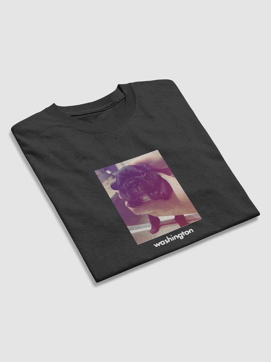 WASHINGTON TEE product image (3)