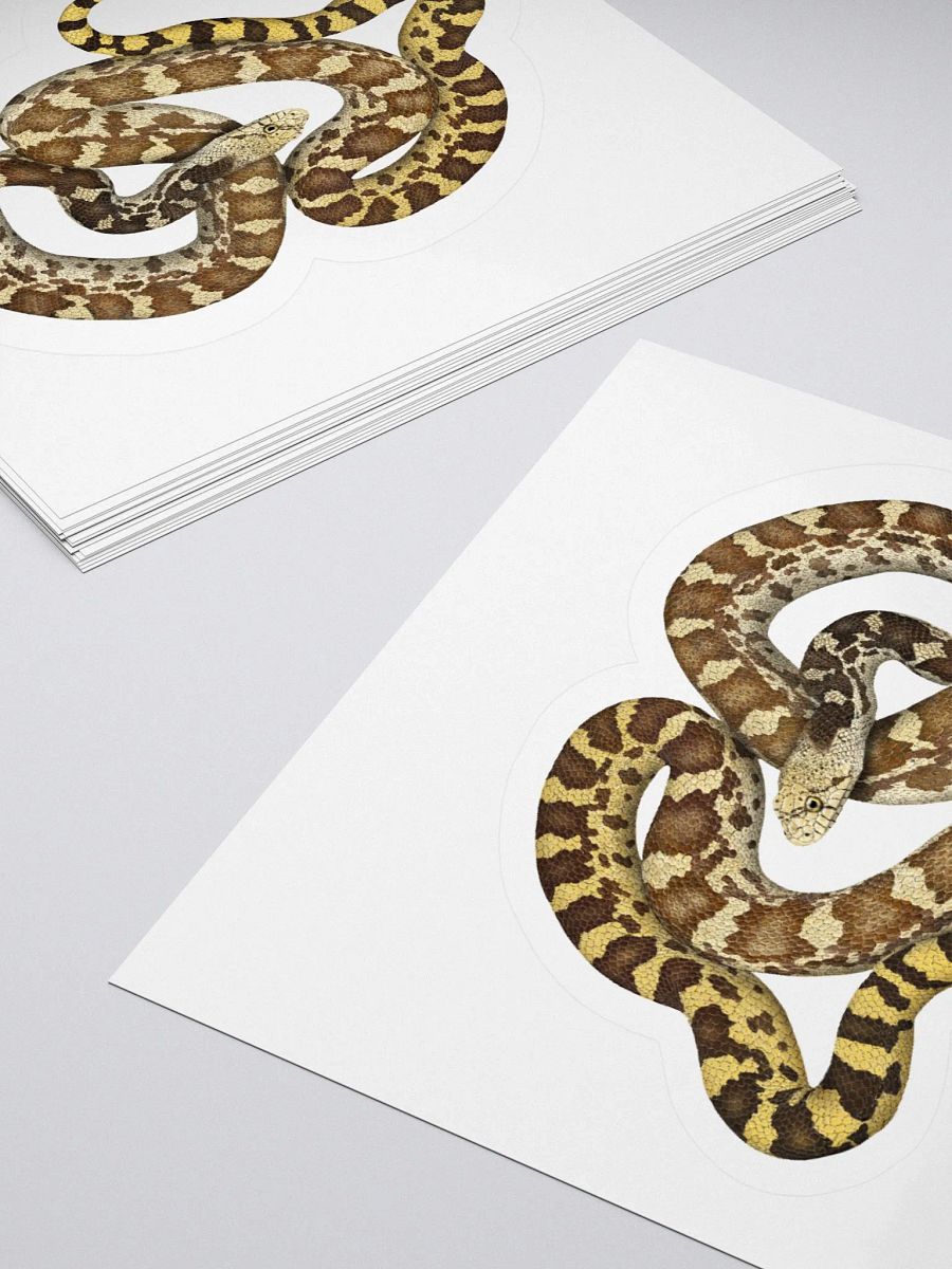 Die-Cut Sticker – Sonoran Gophersnake product image (4)
