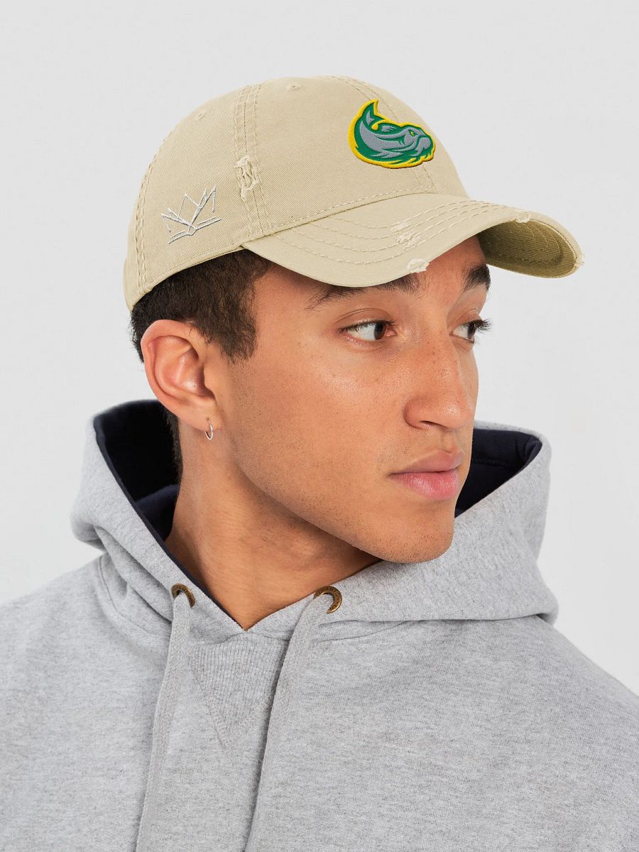 Mississippi Mudcats Distressed Dad Hat product image (23)