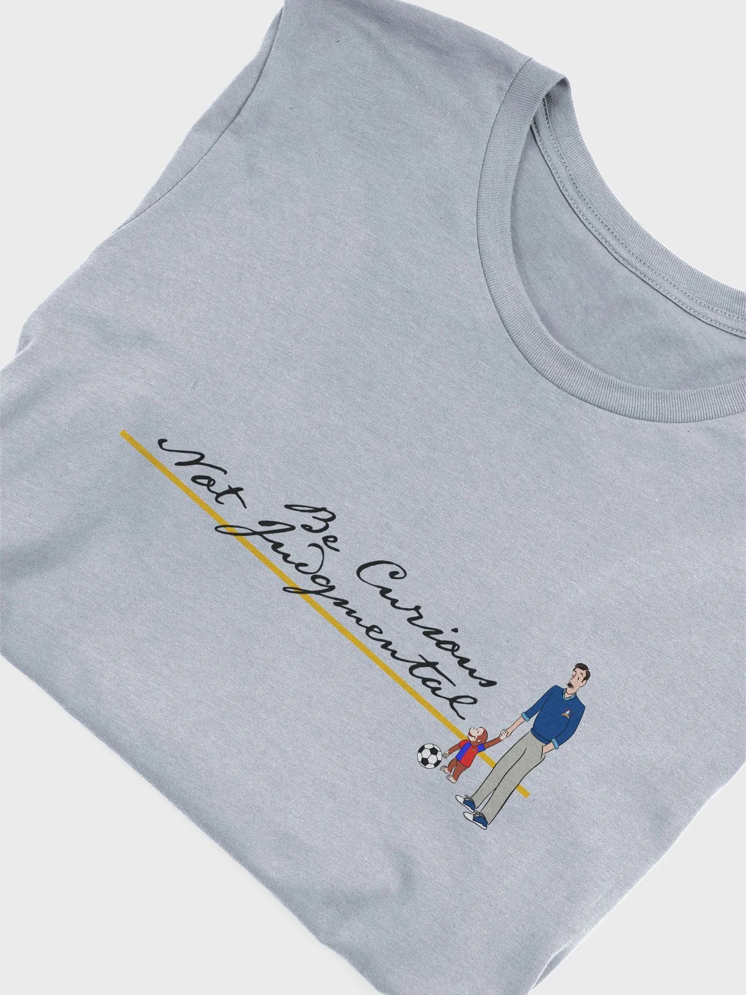 Be Curious DTG - Bella+Canvas Supersoft T-Shirt product image (5)