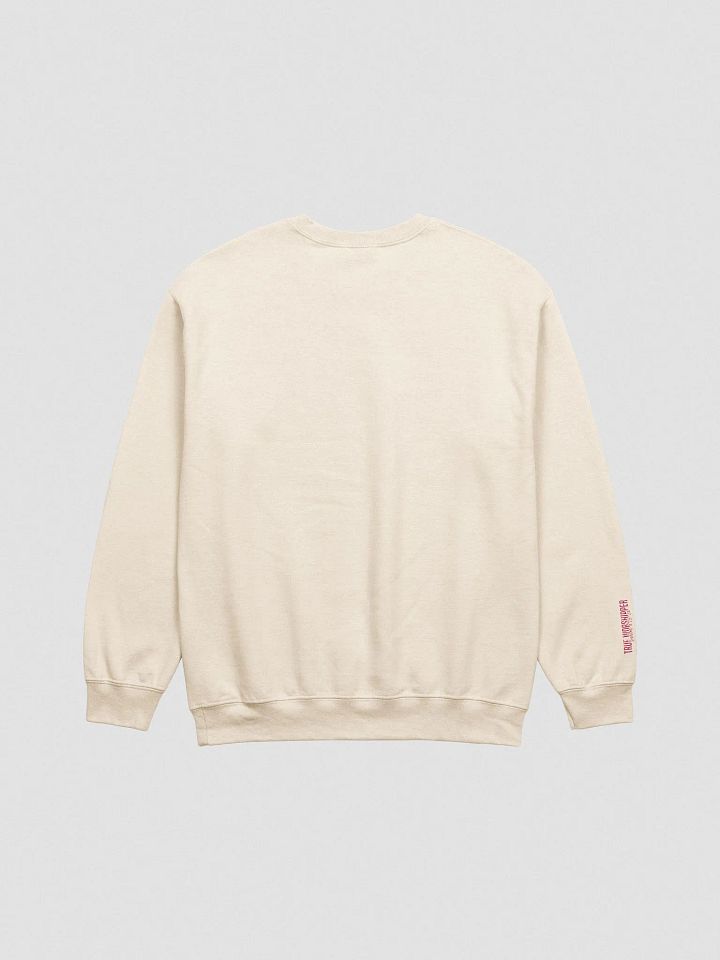 The Silent Worshipper Embroidered Sweatshirt| Light Colors product image (8)