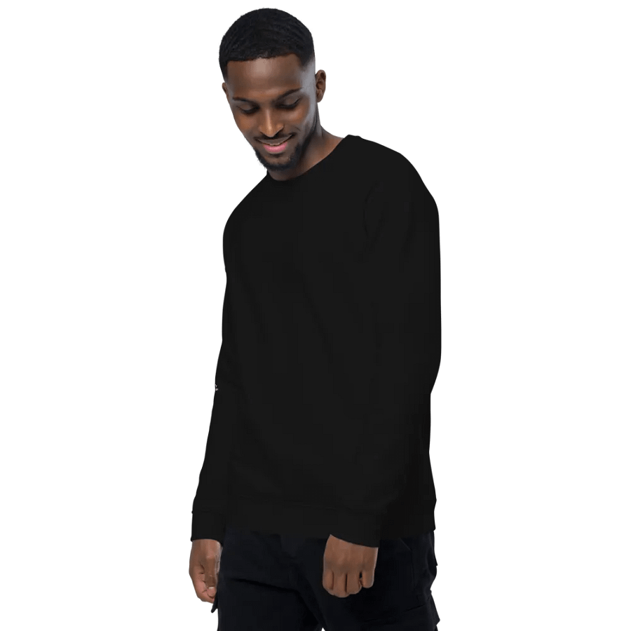 USA Sweatshirt product image (8)
