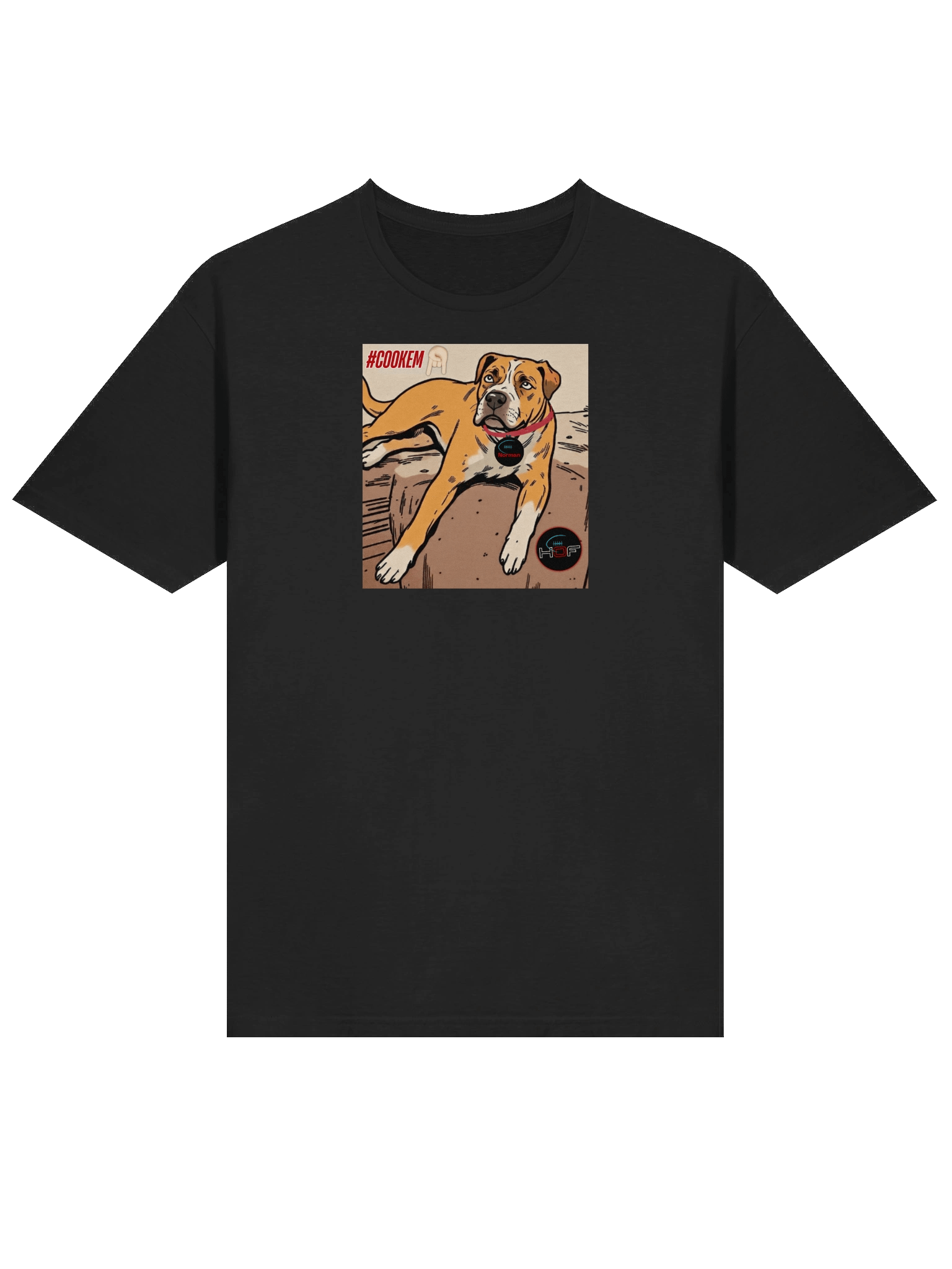 Norman "Cook 'em" Soft Tee product image (14)