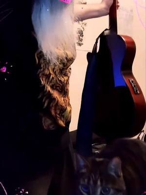 Singing Lesson: First Day #cat #singing #singingtomycat