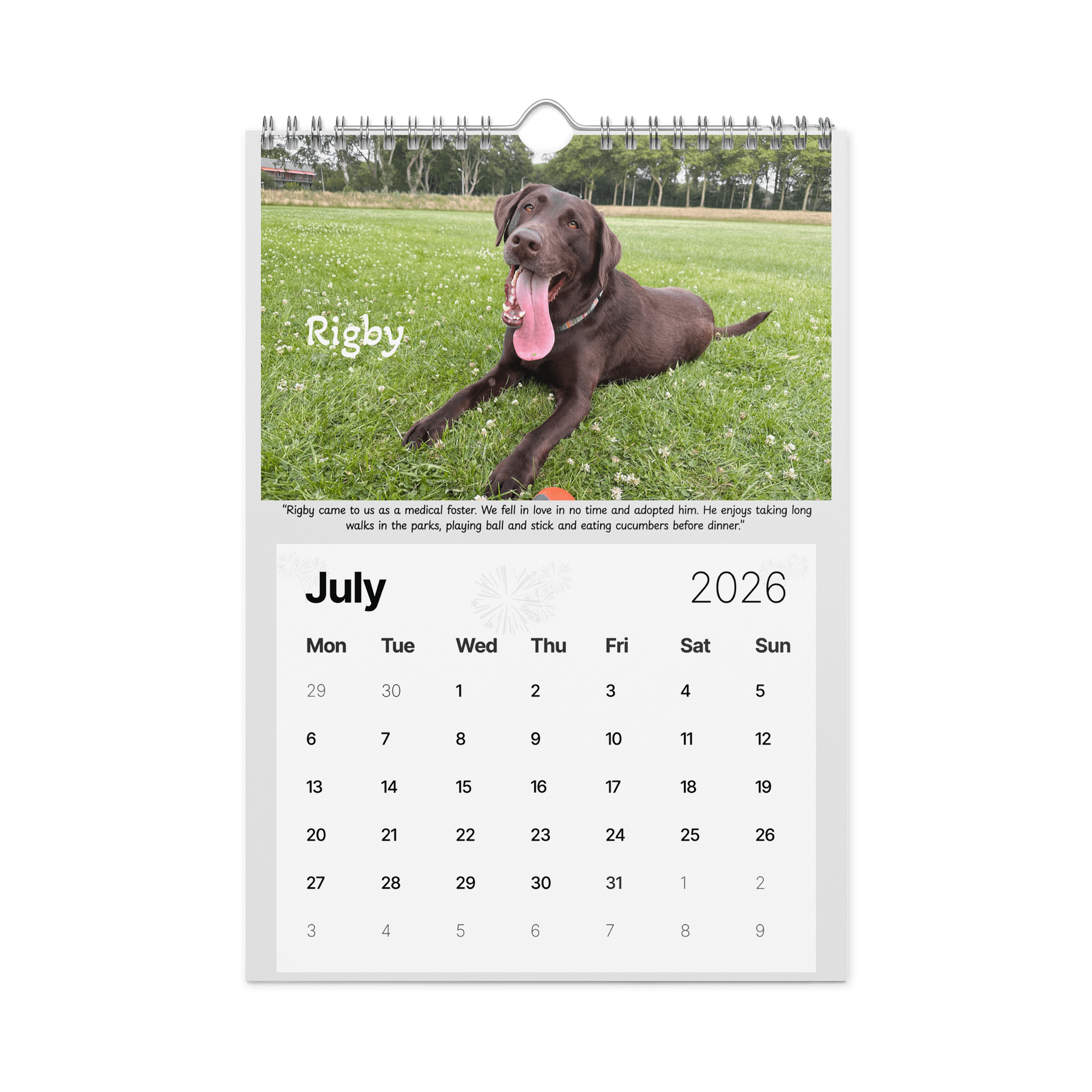 2026 Saving Great Animals Rescue Calendar product image (6)
