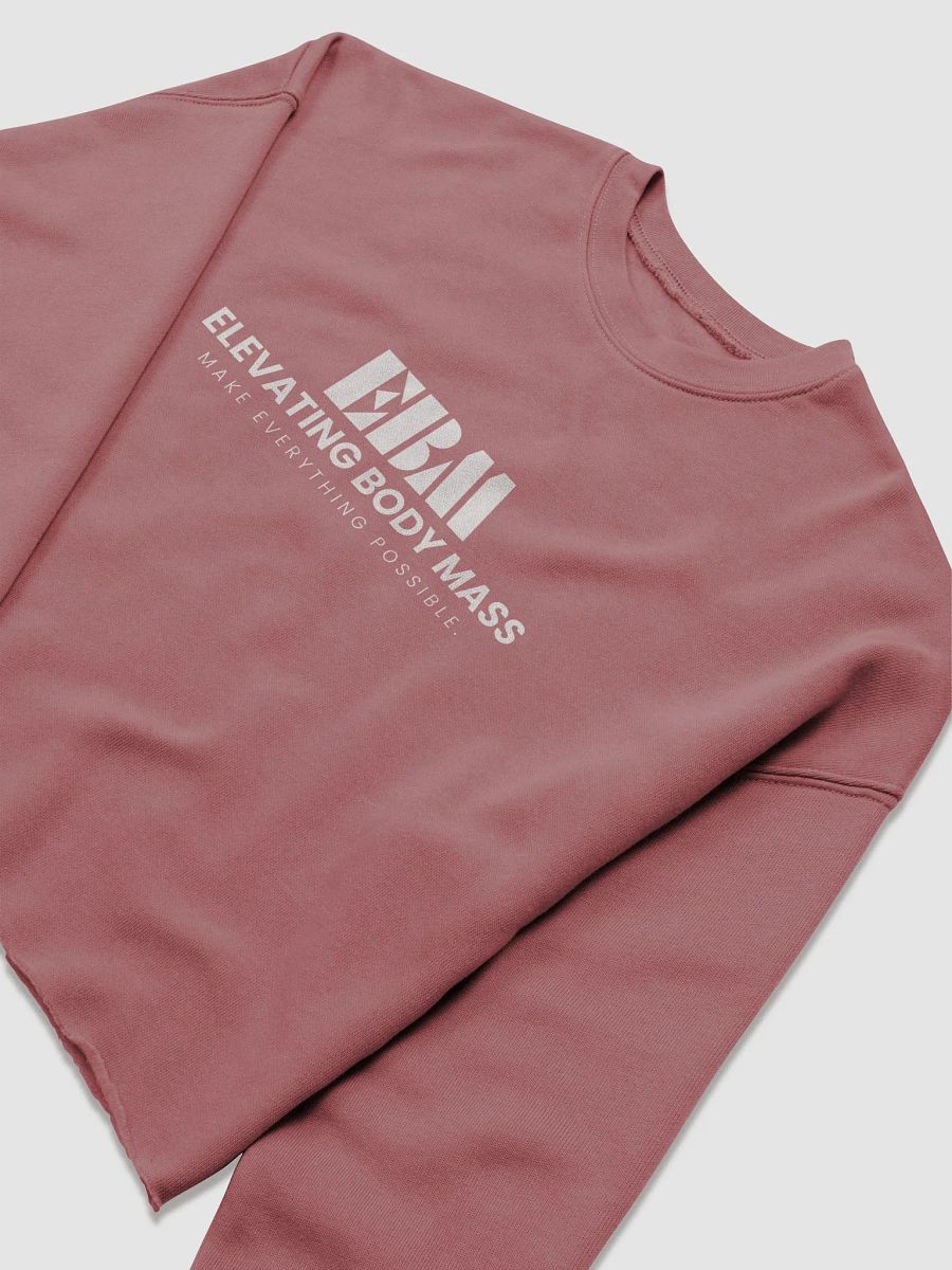 EBM Women's Fleece Crop Sweatshirt (White Logo) product image (27)