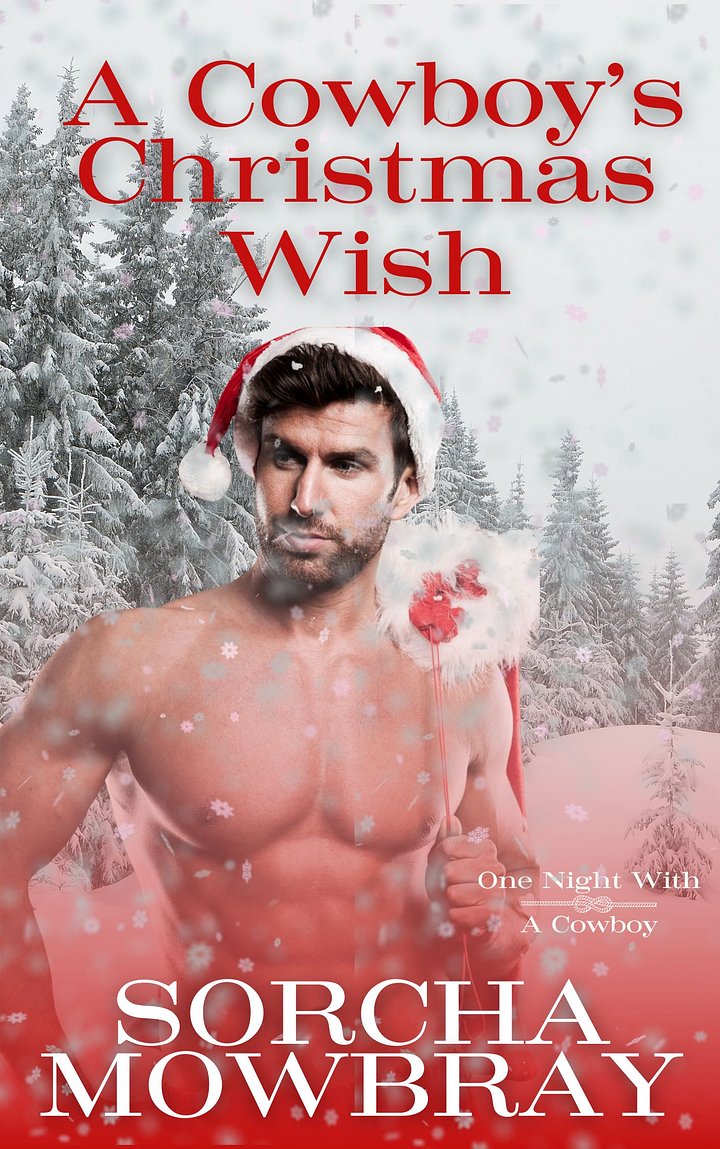A Cowboy's Christmas Wish (One Night With A Cowboy, Book 3) product image (2)