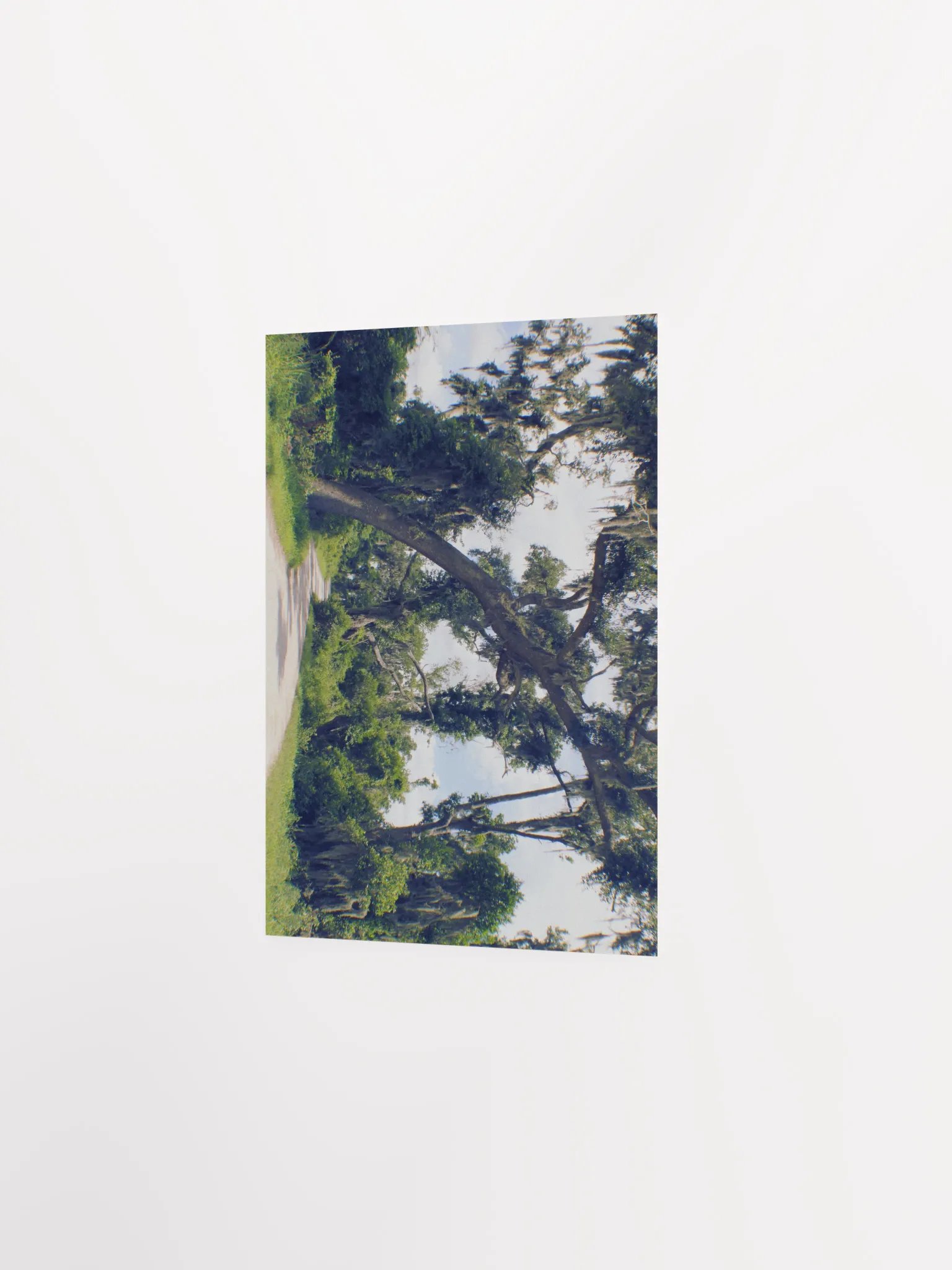 Gates of Heaven product image (17)