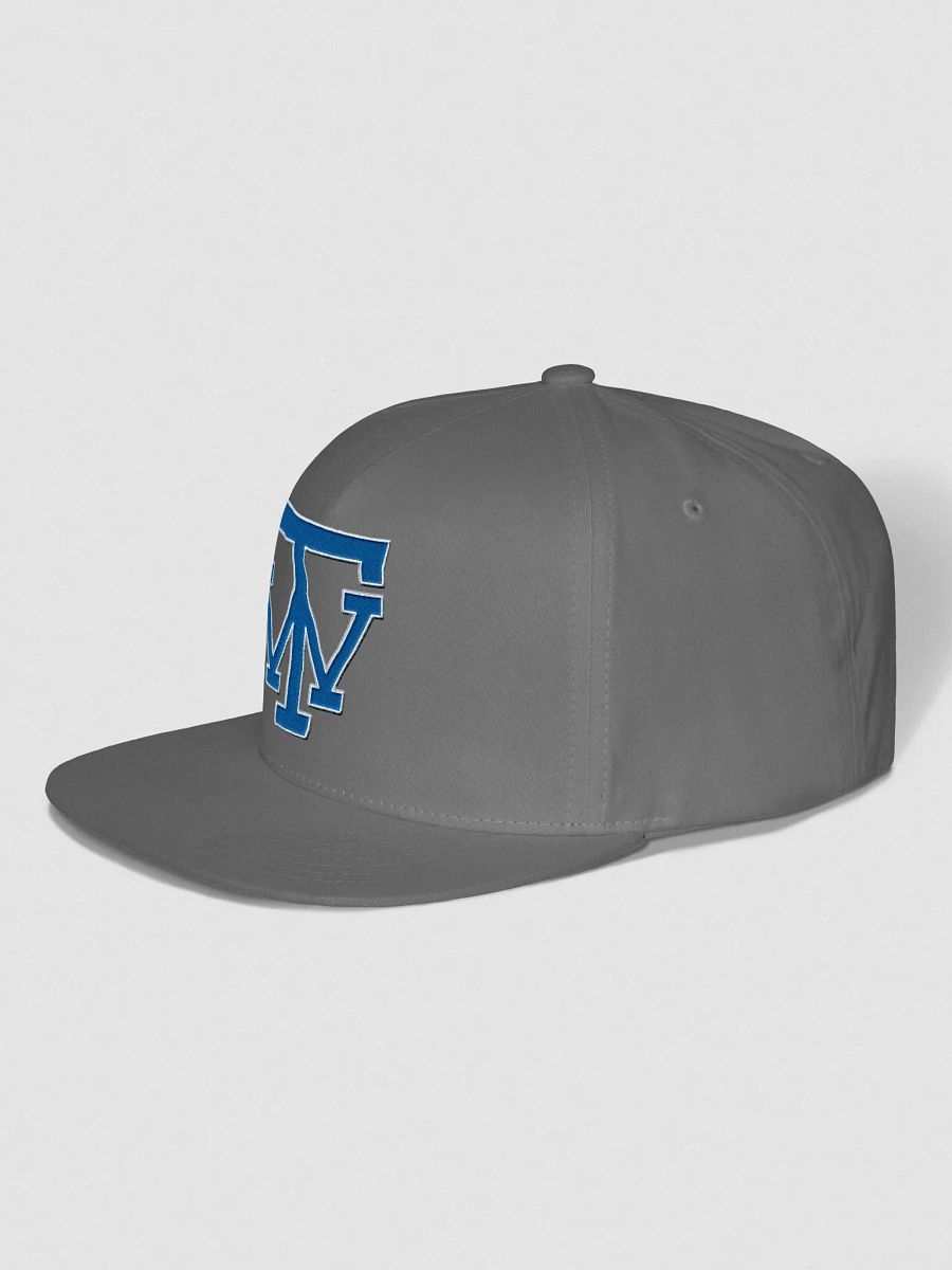 TW Logo Flat Snapback Cap product image (3)