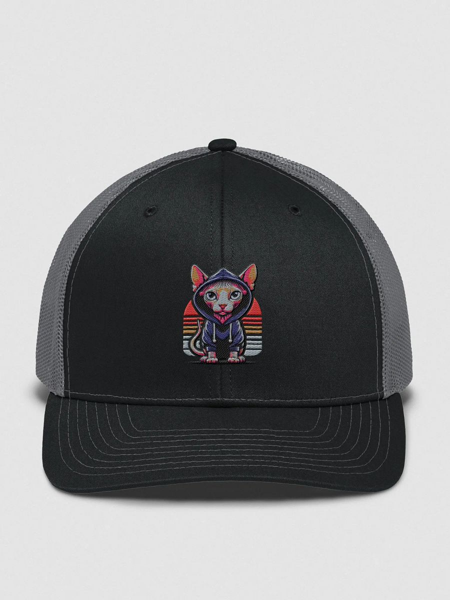 Retro Sphynx Vibes product image (1)