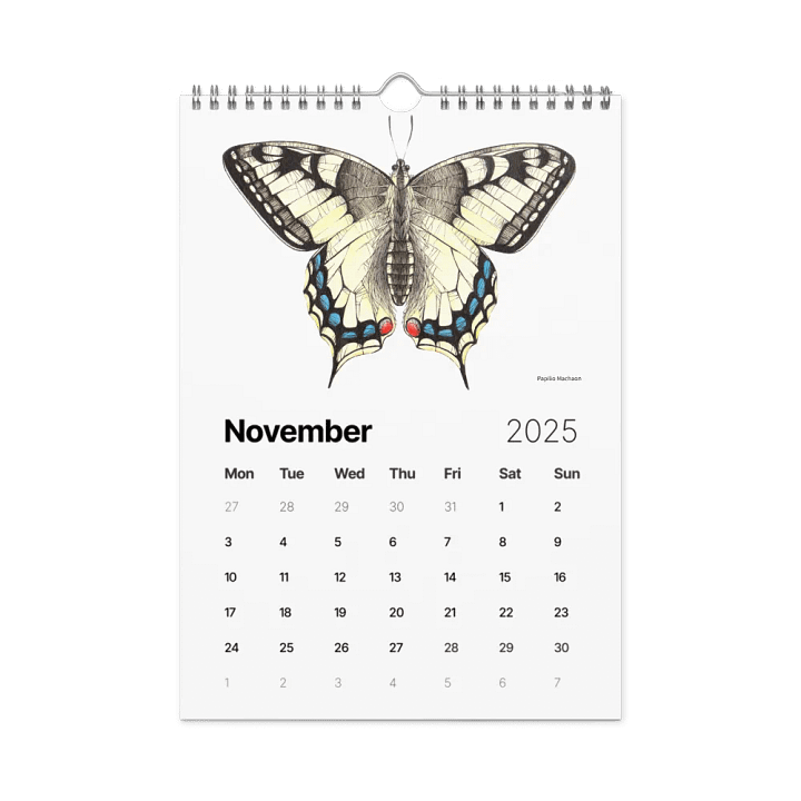 INSECTUM ABSTRACTUS - 2025 Calendar product image (1)
